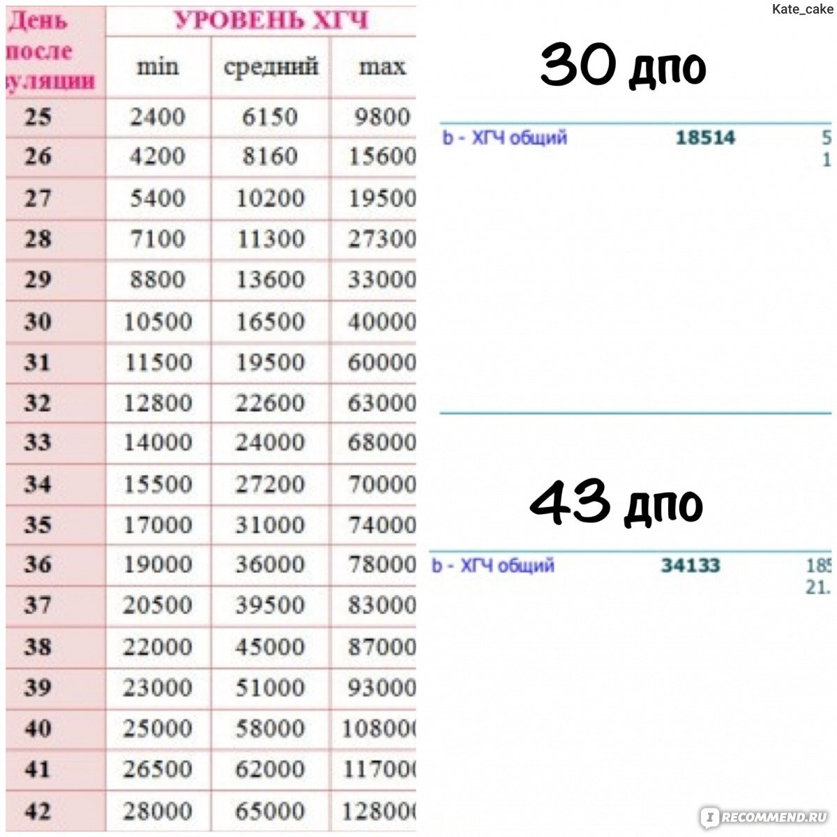 ХГЧ +в-ХГЧ (ЭКО + беременность до 5 недель) анализ