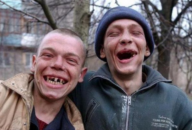 Они усердно грызли гранит науки...