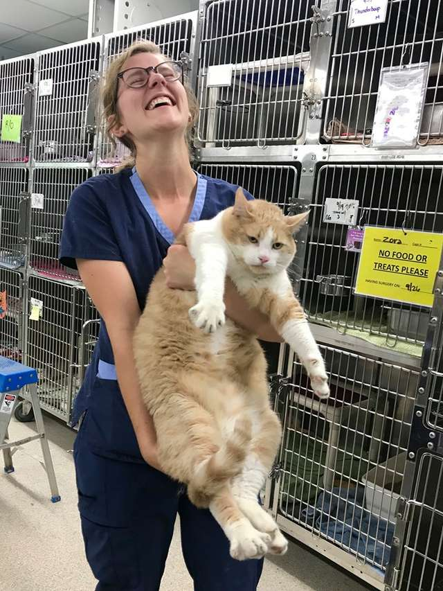 Крупный пушистик, не правда ли?