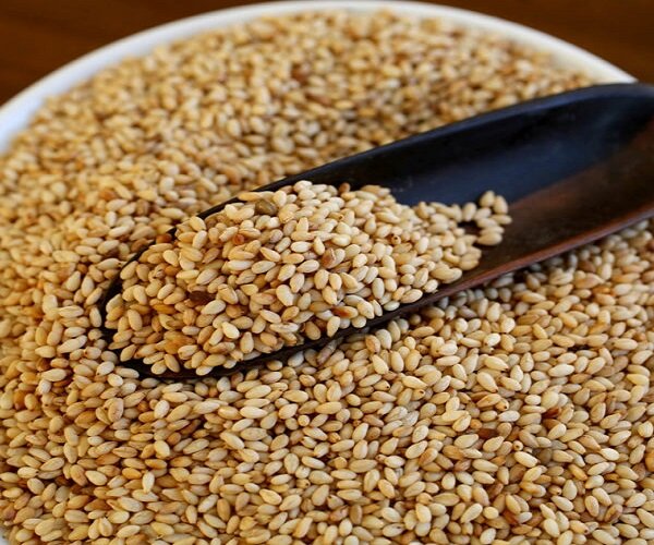 https://sc01.alicdn.com/kf/UTB8g1mtCxHEXKJk43Jeq6yeeXXaI/Fresh-Hot-Selling-White-Sesame-Seeds.jpg