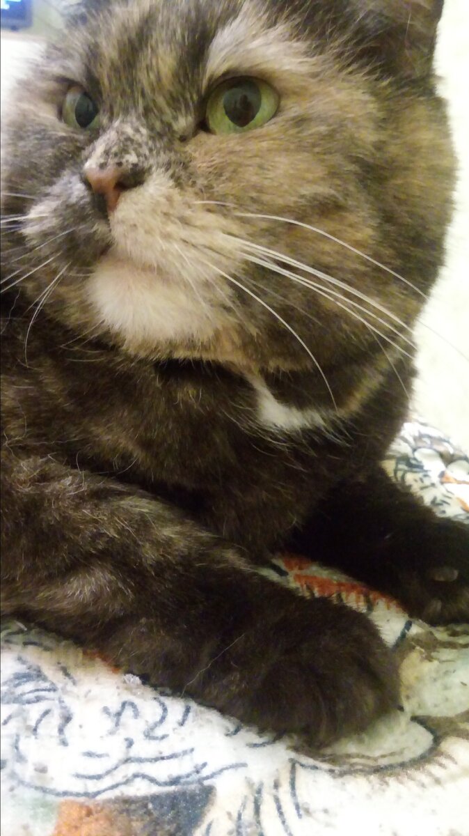 Кому скучно? Мне?