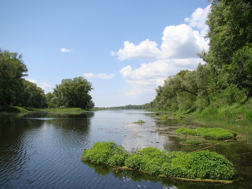 https://pixabay.com/images/id-245263/