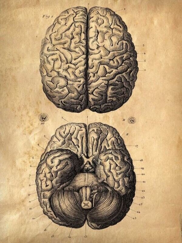 the resource: pinterest.ru/pin/684828687071962398/