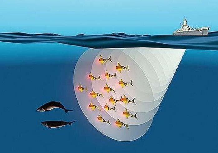 Эхолот для рыбалки. Обнаружения рыб. Рыба улитка. Светящаяся рыба. Эхолот для рыбалки гармин.
