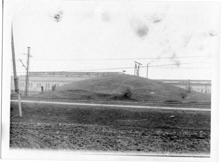 Источник фото сайт https://forum.violity.com/viewtopic.php?t=1710782&view=next