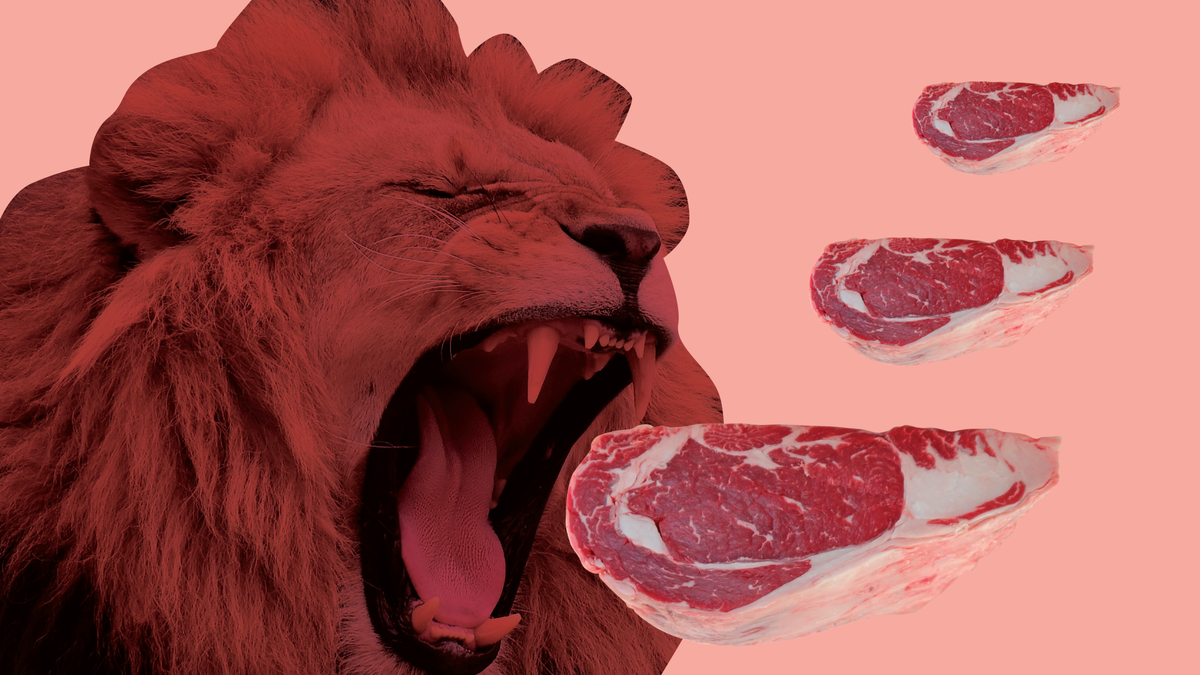 Иллюстрации Сони Коршенбойм