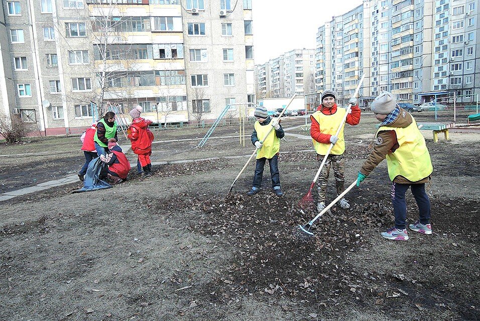 Фото эко лагеря