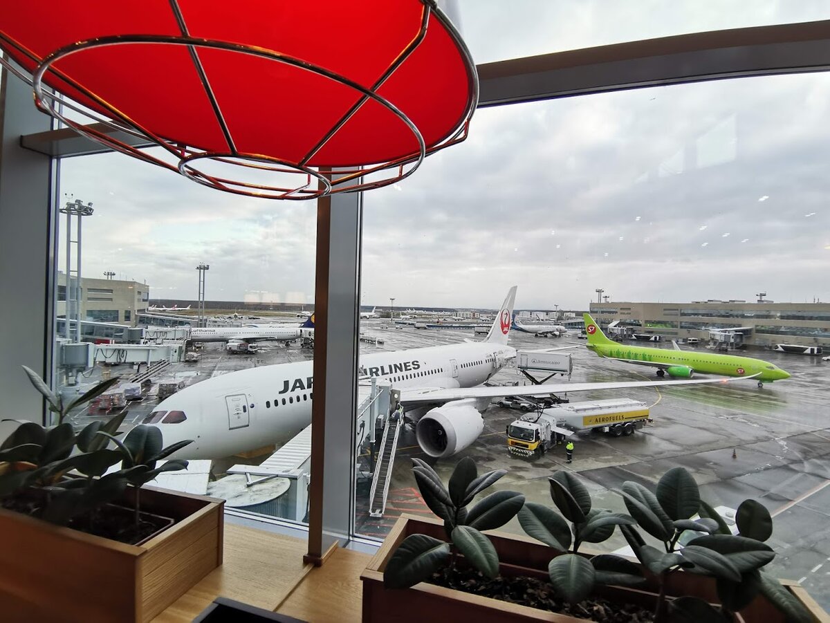 JAL Boeing 787