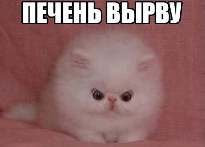 Лапкой в печень — никто не вечен! )))