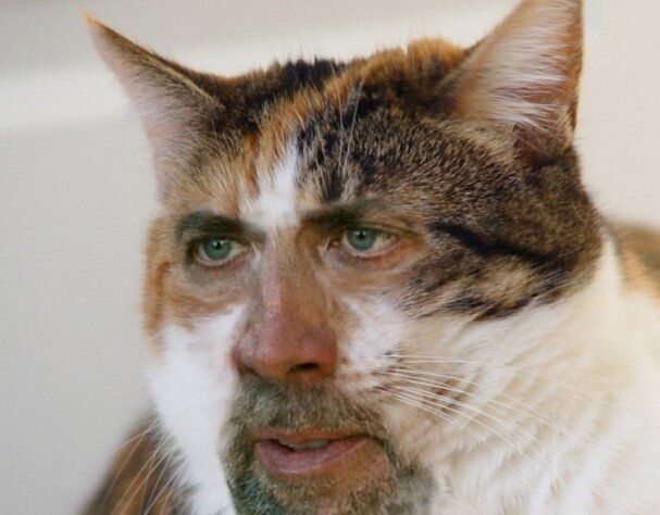 -2