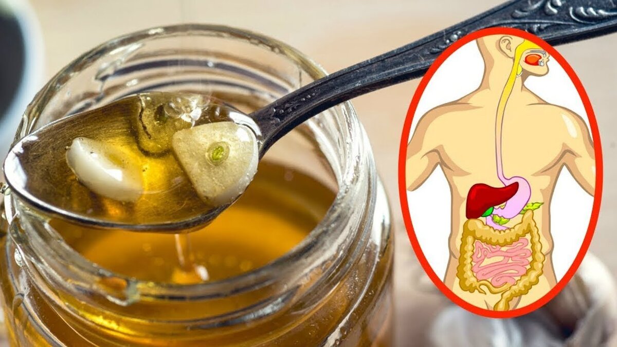 фото из Яндекса