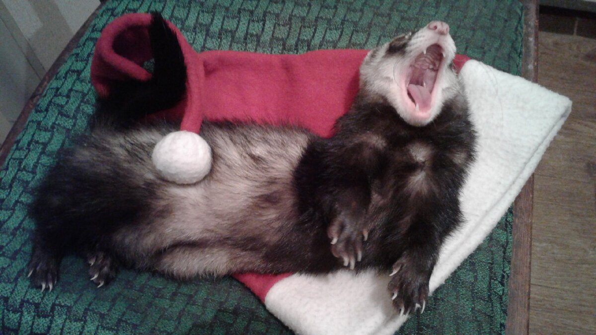 Чувак ложится спать