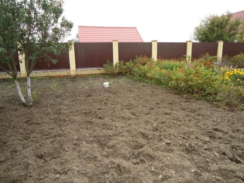 На фото: выборка сорняков