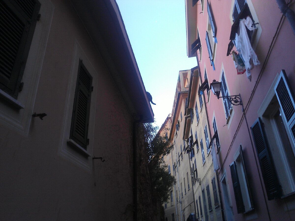 Фото: Piano Piano