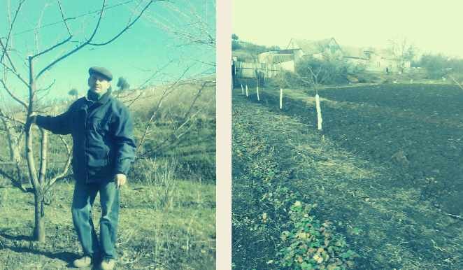 Весенние работы в саду