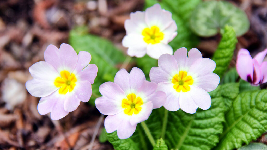 Любая проблема – это замаскированная удача. Бенджамин Франклин 