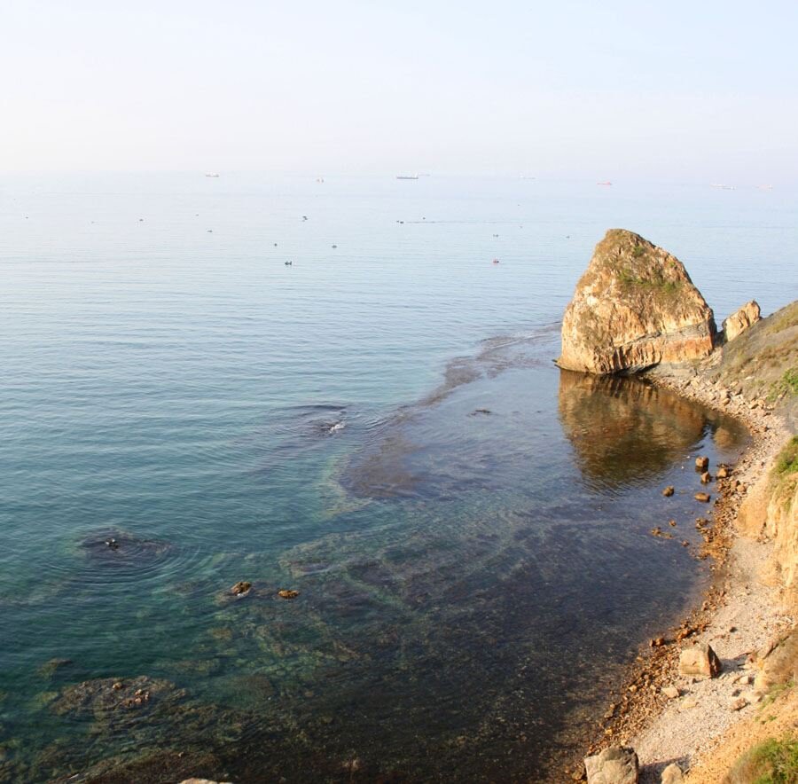 Если не выходить в море и крепко стоять на твёрдой почве, — морская болезнь не страшна! 