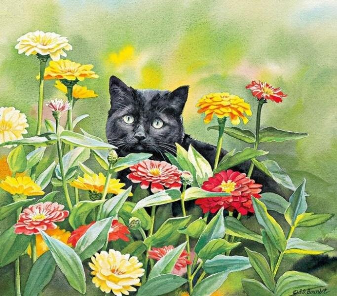 Рассказ // Илл.: Сьюзен Бордет
