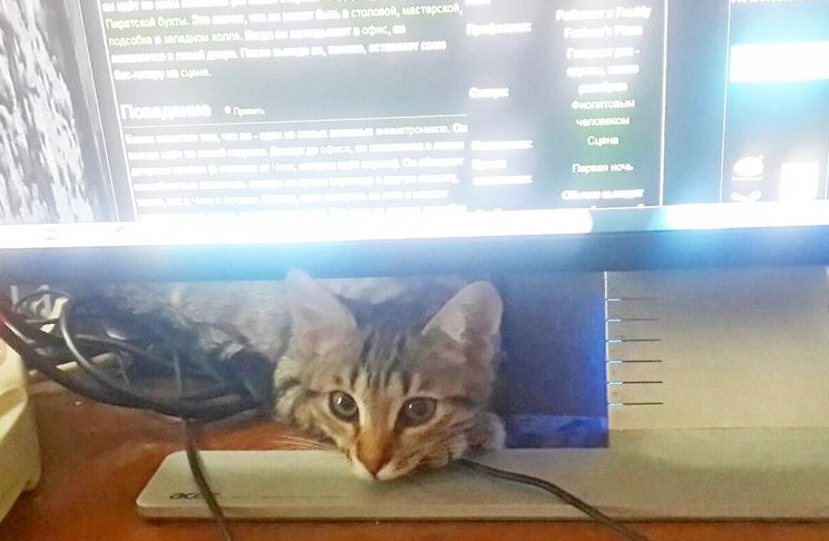 Фото из архива редакции журнала "Большая переменка"