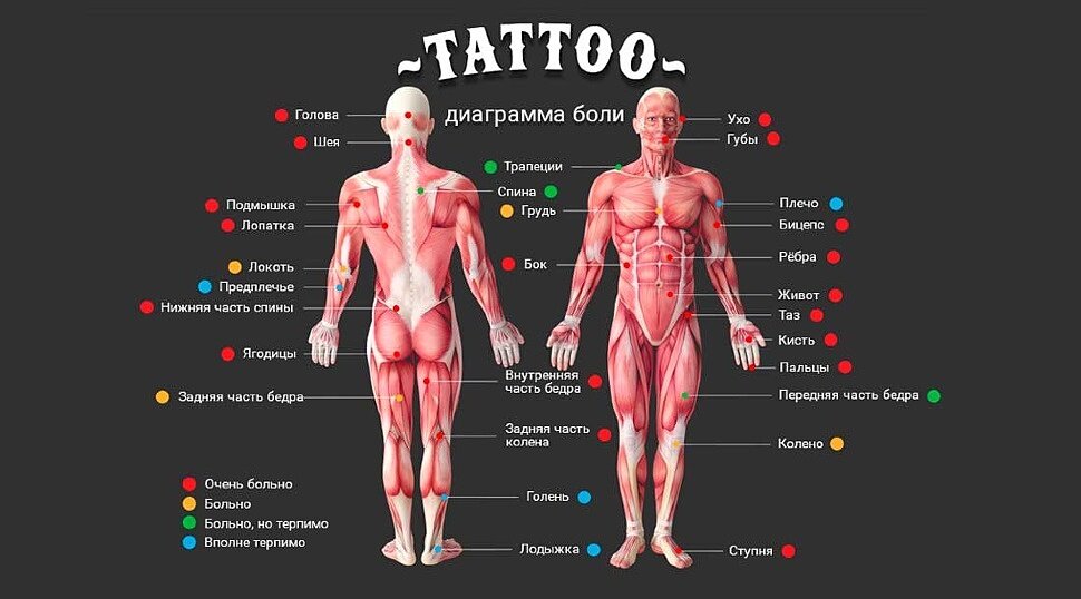 Как правильно выбрать место для татуировки - sapsanmsk.ru