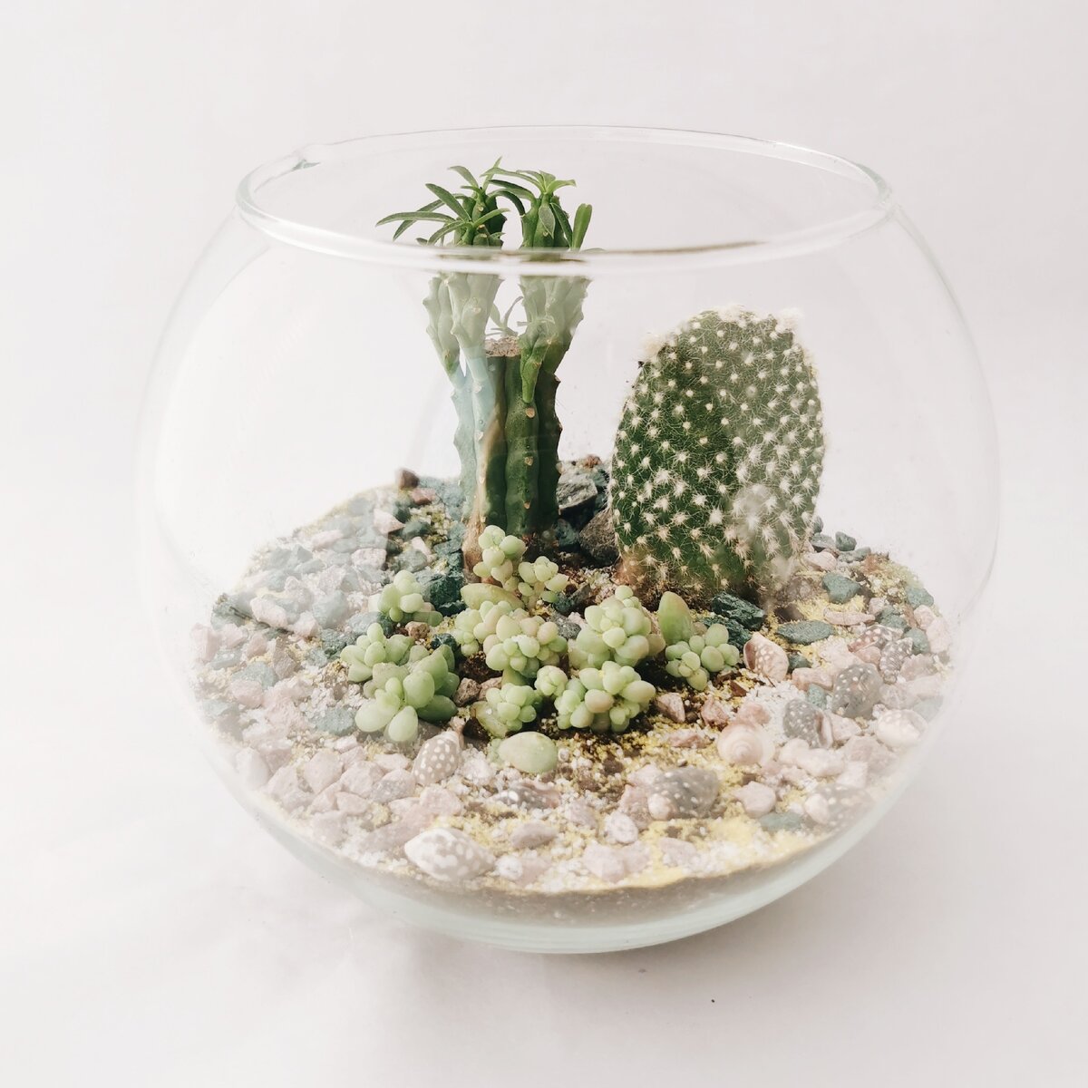 Наши готовые флорариумы 