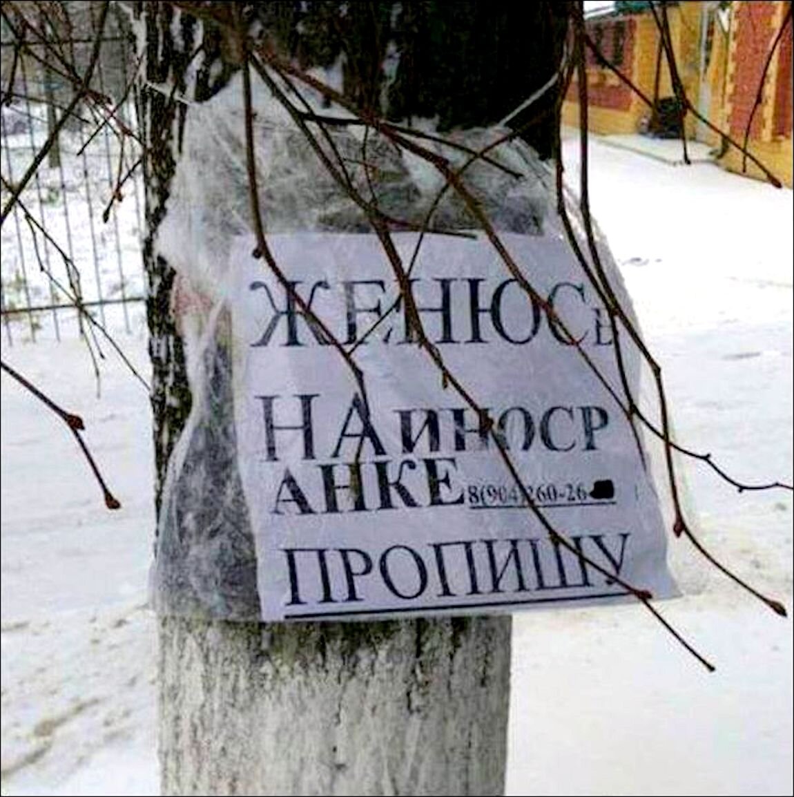 Юмор в картинках и фотографиях с надписями
