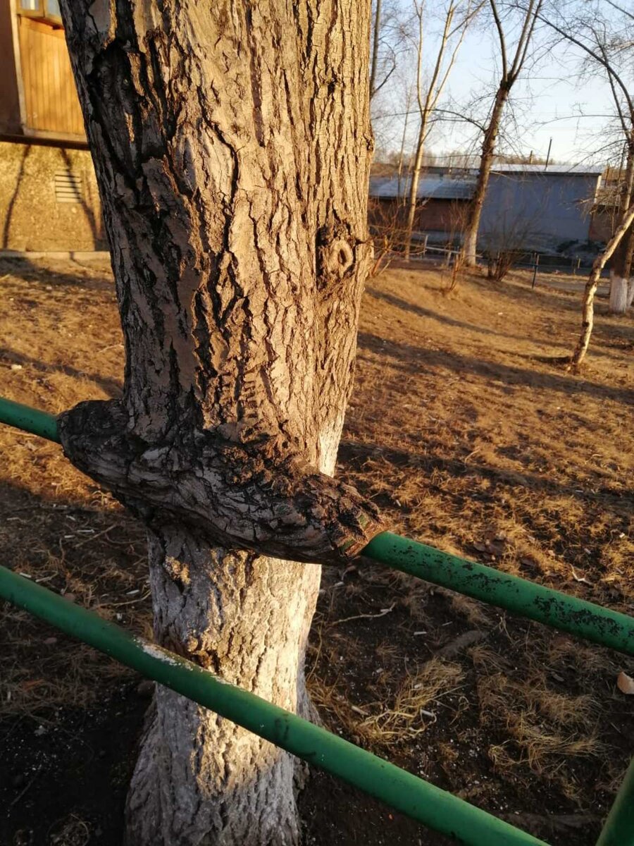 Подписывайся на канал👍♥️😘😉🙏