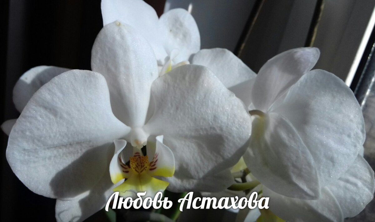 Продолжать нестись в потоке бесконтрольно или причалить к райскому острову и отдохнуть на нём, этот выбор принадлежит нам по праву, воспользоваться которым мы можем в любой момент. Принимайте ответственность за свою жизнь, берегите себя и своих близких. 