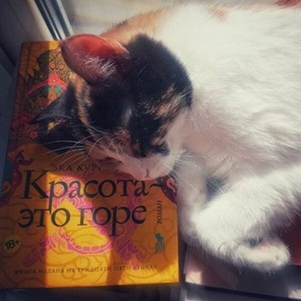 Эка Курниаван