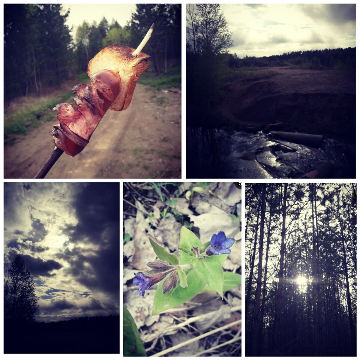 Мои работы🌲🌲🌲