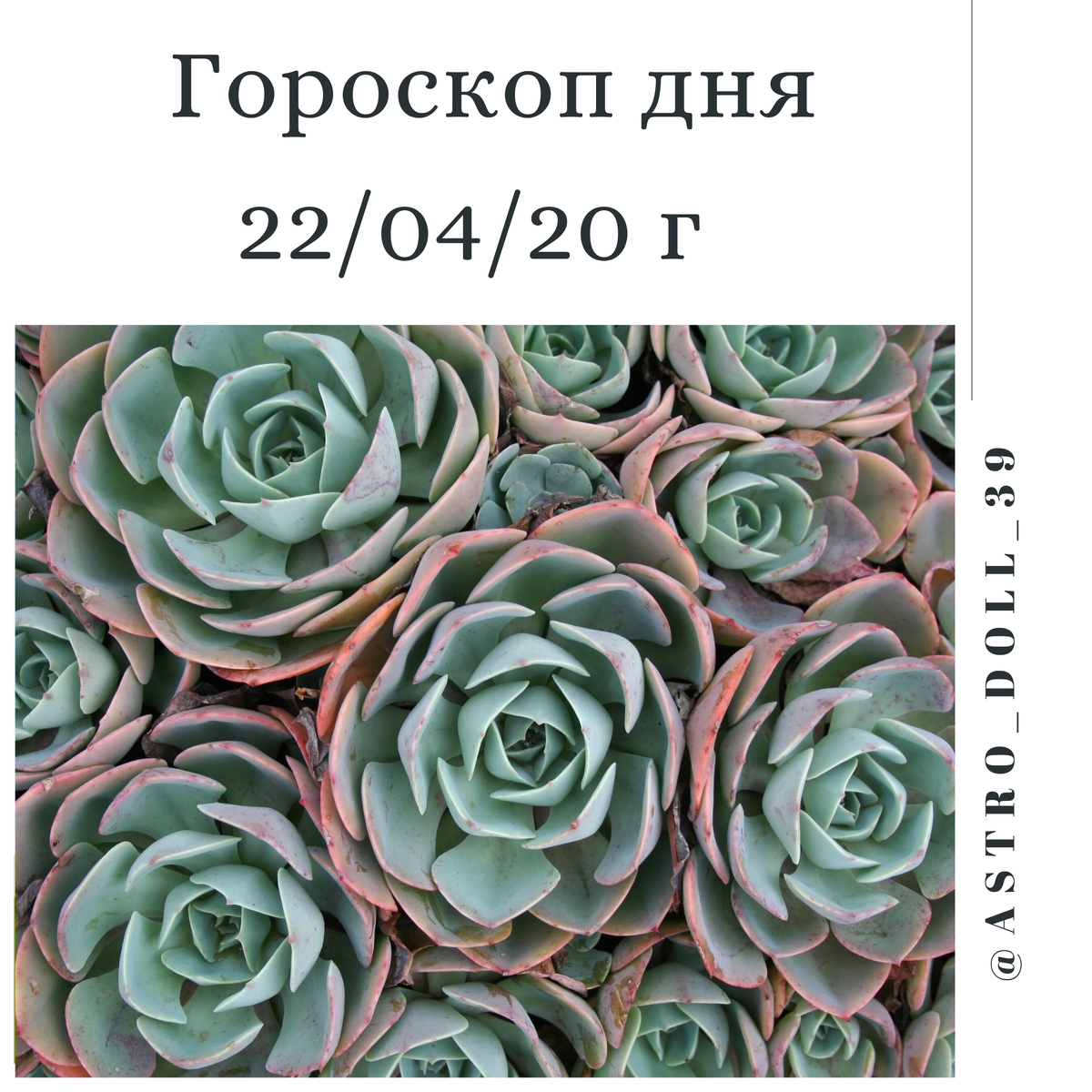 Гороскоп на 22 апреля | 💫 Ведическая Астрология 💫 | Дзен