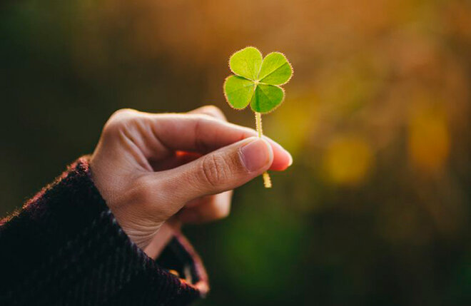 Сигналы, что скоро вас ждет удача