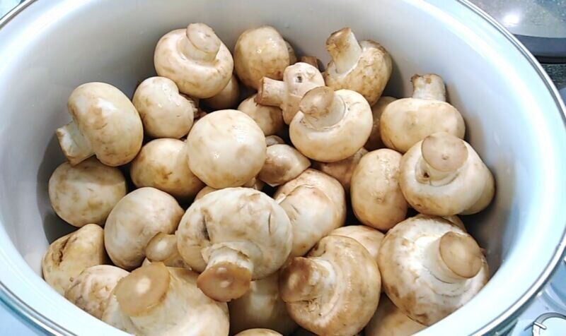 шампиньоны маринованные быстрого. маринов быстрого приготовления. шампиньоны малосольные. маринов быстрого приготовления. закуска с шампиньонами.