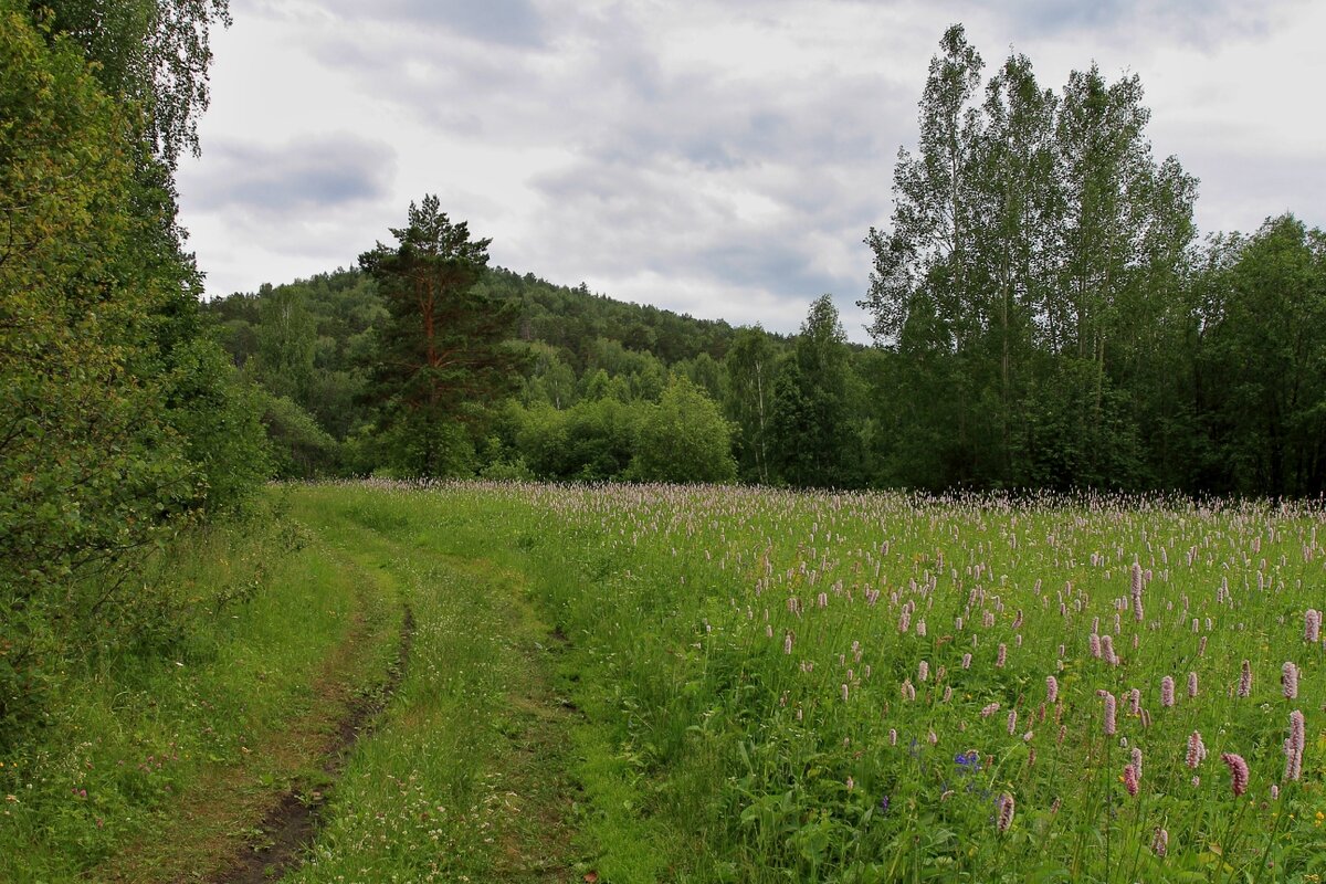 Красивая женская грудь