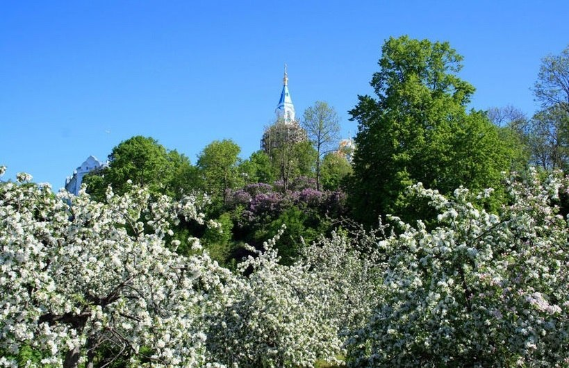 Фото: сайты Валаамского монастыря и МГАУ, Я. Гайдукова, а также неустановленных авторов 
