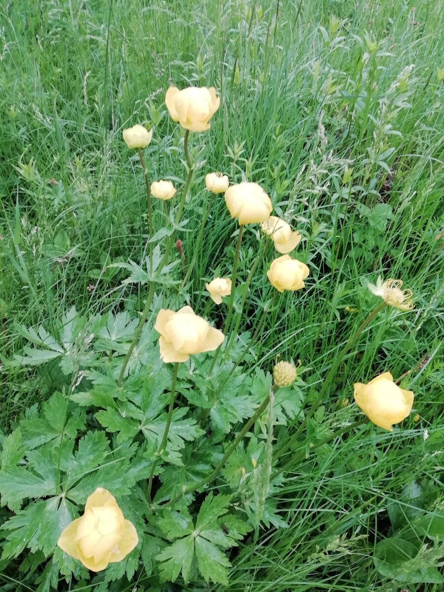 Помните, что сила вашего духа проявляется в умении управлять своим сознанием. 