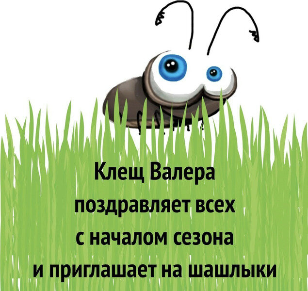 Взято из Яндекс. Картинки