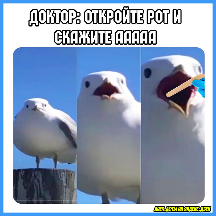 Смешные мемы