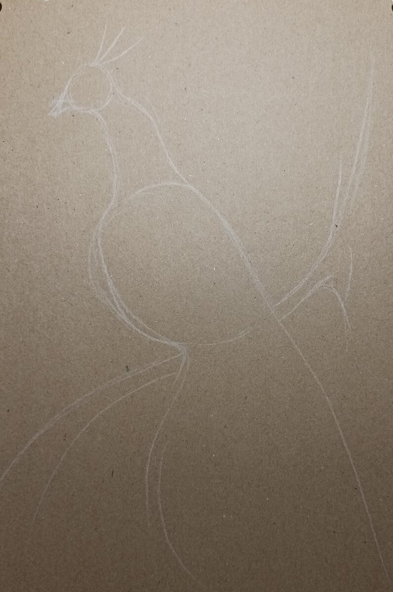 Как всегда начинаем рисунок с разметки  и простых форм.