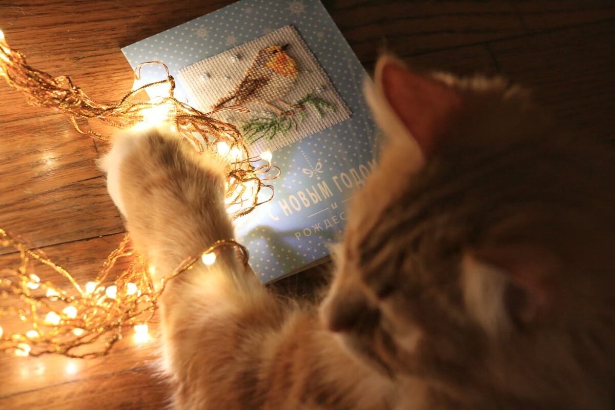 Ричард проверяет качество открытки