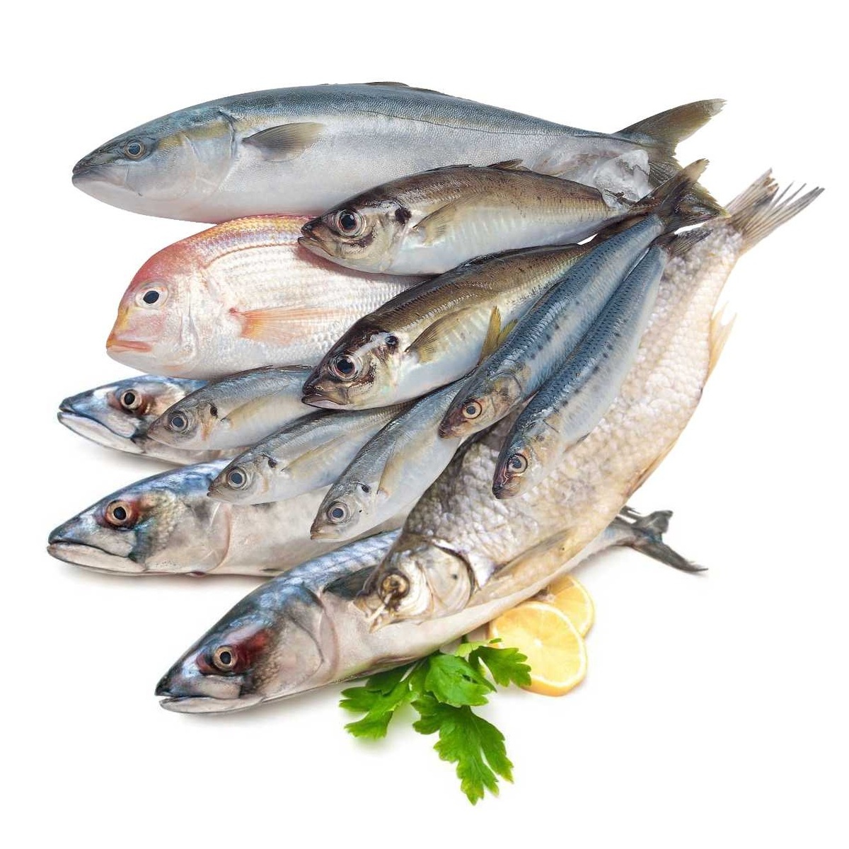 Очень часто рыбка оставляет запах. Что-же с этим делать?