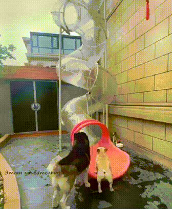Gif взята из открытых источников 

