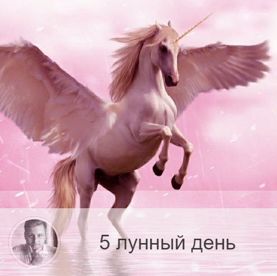 Подписывайтесь на наш канал, друзья!
5-ый лунный день с 12:10 18-ого по 12:31 19-ого. 🔆 Не стоит сильно ограничивать себя в еде.
🦄 Символ дня – единорог.
🎂 Люди, рождённые в этот лунный день, как правило богатыри и маги. У них даже незначительное количество еды переходит в силу и преобразуется в астральную энергию. Такие люди ценят качественную пищу. Если такой человек не развивает полученную энергию, то он разбрасывается по мелочам, и на большие дела сил уже не хватает.
💍 Камни – бирюза и мрамор.
🌞 В этот день происходит алхимия души и пищи, переход пищи в астральную энергию. Это день отказа от соблазнов, когда нам дают понять, что соответствует нашему развитию, а что тормозит его. Поэтому внимательно следите за получаемой информацией, так как она укажет, что для вас полезно, а что вредно.
✅ Рекомендуемые практики: наслаждаемся любимой едой.
Правильно употребляя продукты в этот день, можно запастись энергией на целый месяц. Ешьте любимую пищу, так же рекомендуется употреблять свежие молоко и творог. Необязательно сильно наедаться, но и ограничивать себя в пище или голодать тоже не рекомендуется. Этот день для того и дается, чтобы восполнить все необходимое.
Благоприятно отправляться в дорогу и работать с травами: собирать их, готовить настои и лекарства.
Полезно кого-то защищать и охранять, отстаивать принципы. Это укрепит вашу уверенность в себе.
❌Запрещено: мясо и семечки.
⭕️ Уязвимые органы: пищевод.
⚠️ Знак:
Слёзы в этот день действуют очищающие. Надо выяснить причину слез и обязательно поработать с этой проблемой. Тошнота и рвота сигнализируют о том, что вы неправильно используете энергии этого лунного дня, и произошло астральное отравление, которое может привести к заболеваниям желудочно-кишечного тракта.
💤 Сон в этот день – показатель здоровья. Хорошие сны сигнализируют о том, что все в порядке. Неприятные же - что необходимо прислушаться и своему здоровью.

—————

Лучшие публикации от лучшего астролога-нумеролога VK, выбирай «•••» в меню сверху ↗ «Уведомлять о новых записях» ✔
