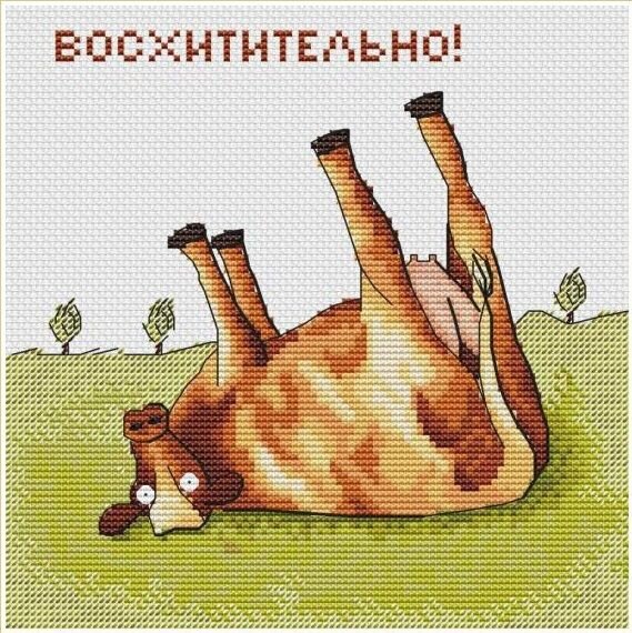 Источник: https://vk.com/amitypattern