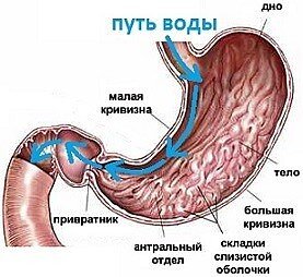 Фото из Гугл Картинки