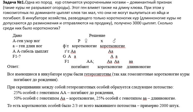 Задачи на дигибридное скрещивание фото Shkola-2.ru