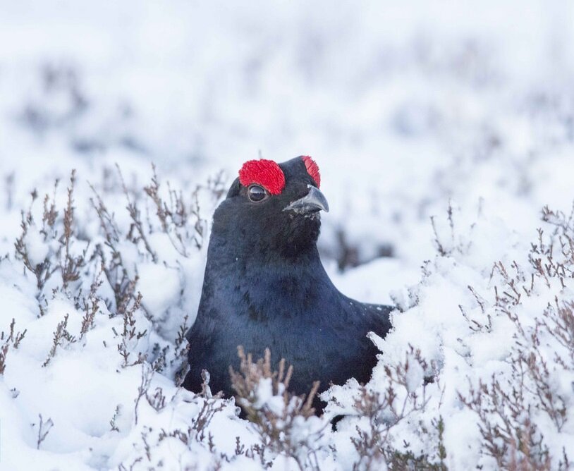 источник fineblog.ru