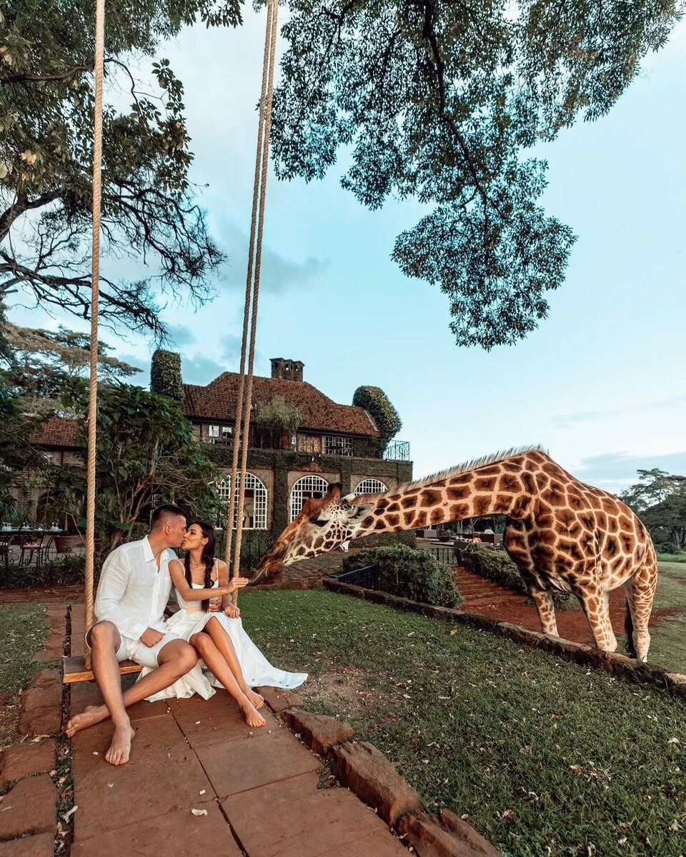 Растворились... полностью... 