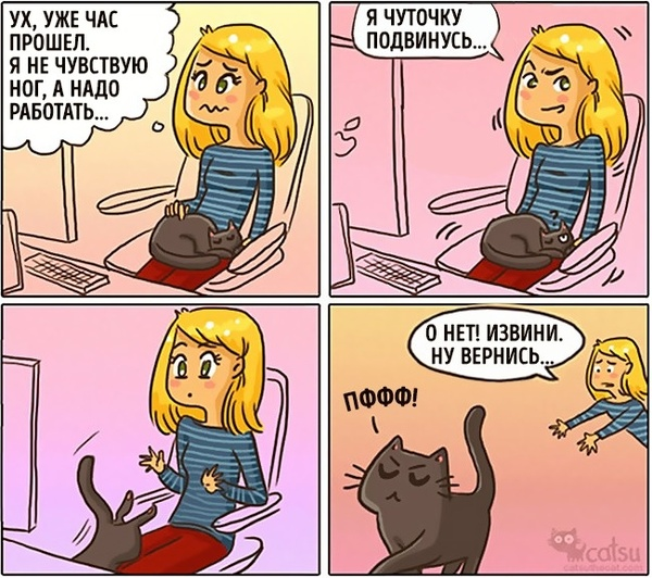 Источник: https://www.instagram.com/catsuthecat/