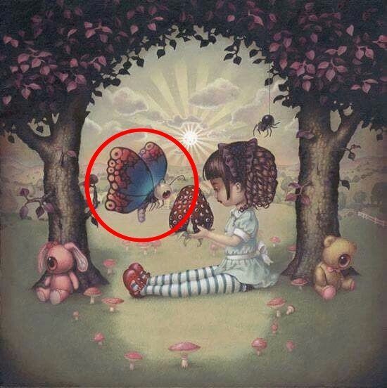 фото из открытых источников